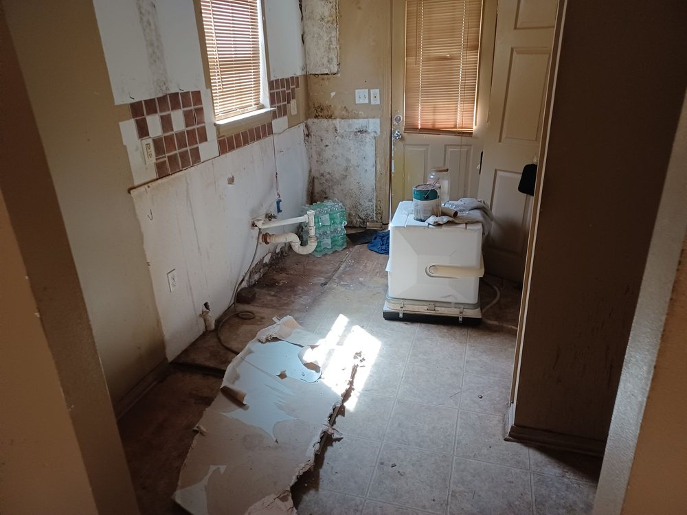 image of business NoZone Construction