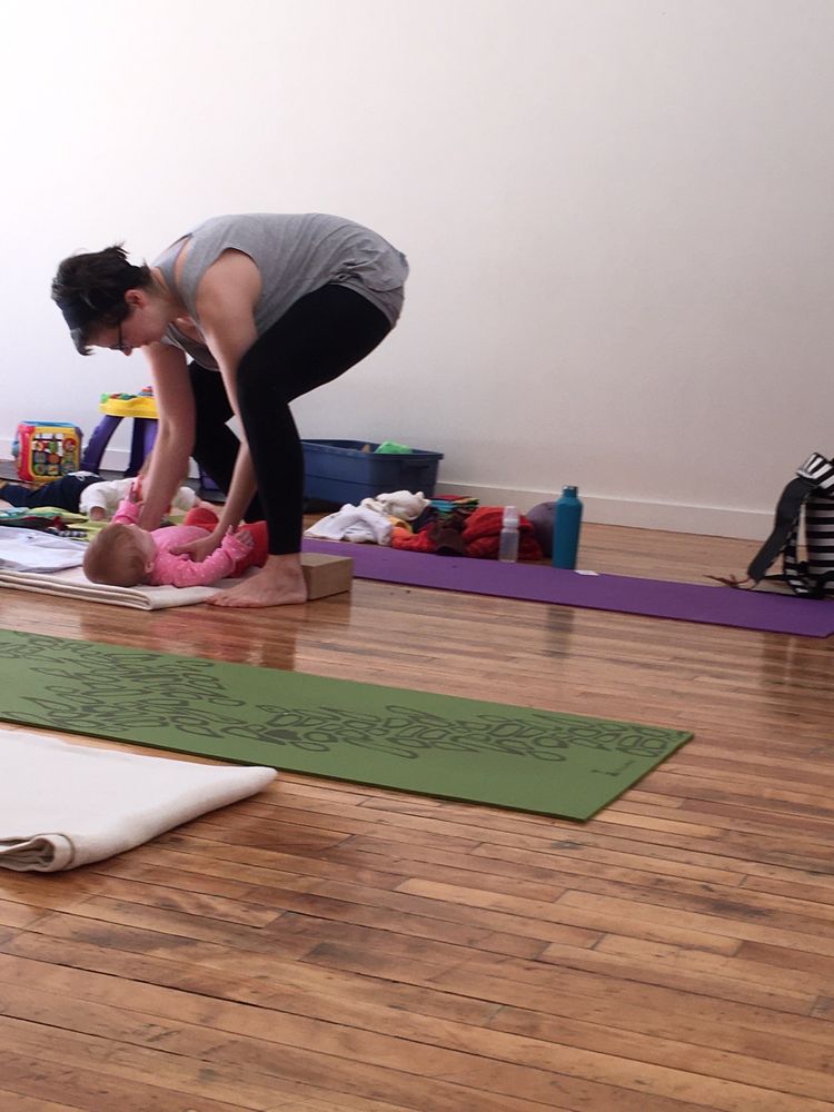 Octopus Garden Holistic Yoga Centre