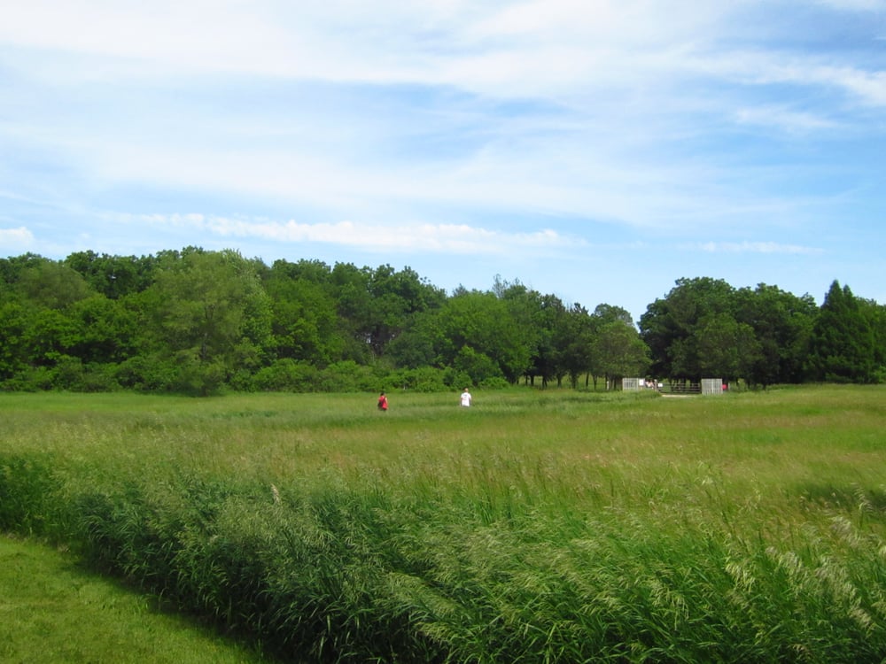 Token Creek Park Dog Parks 6200 US Hwy 51, DeForest, WI Yelp