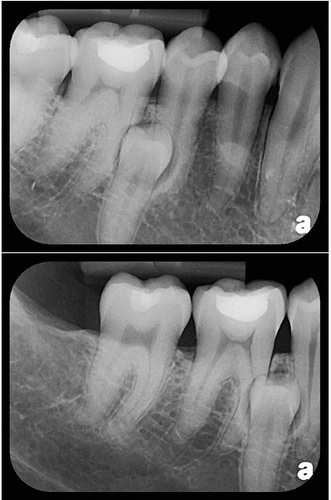 image of business Robert Rosenkranz, DDS