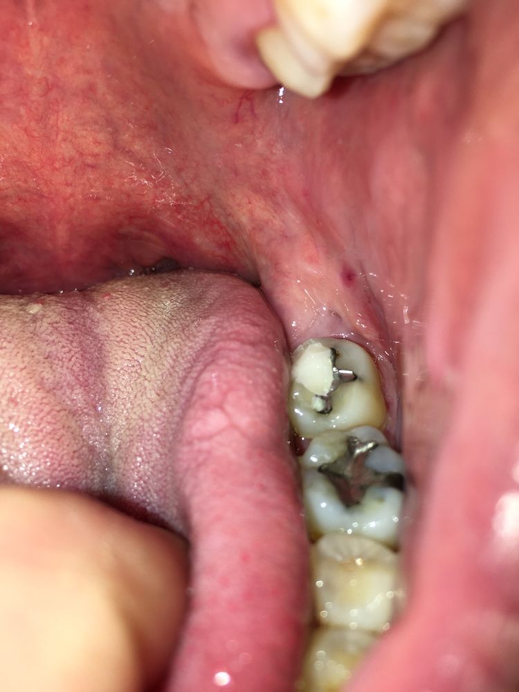 image of business Bright Now! Dental & Orthodontics