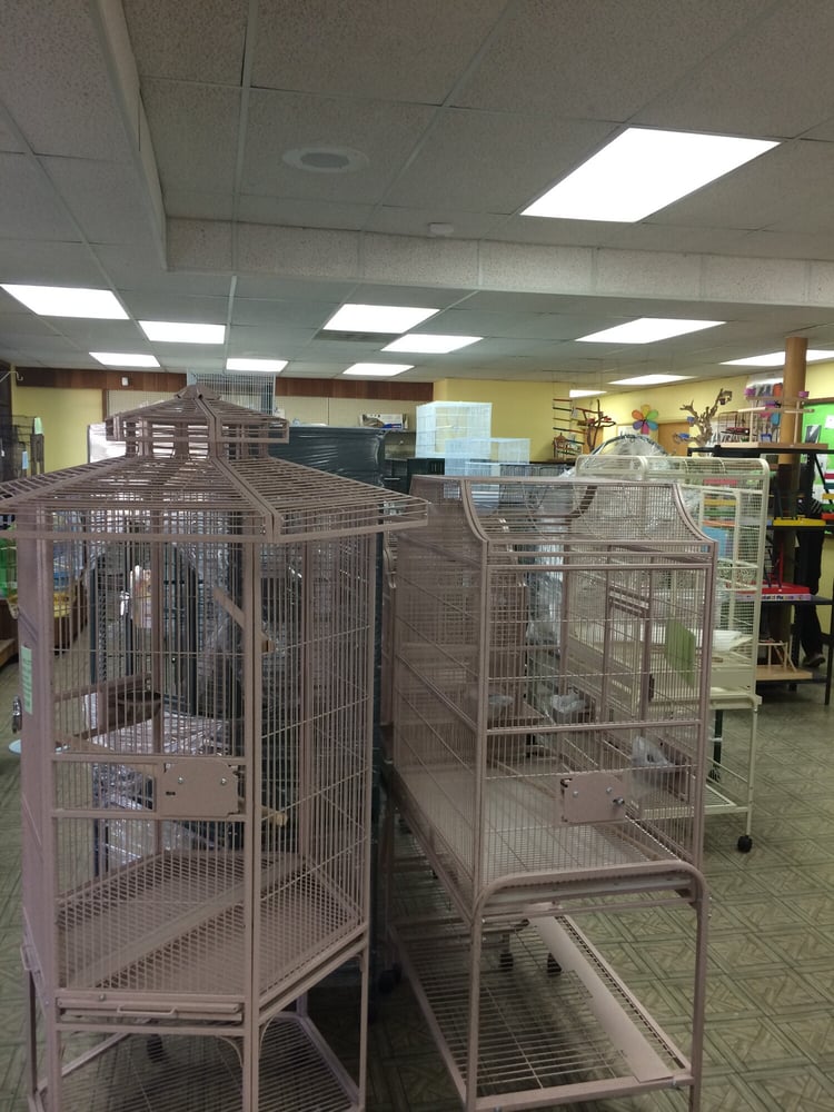 magnolia bird farm 44枚の写真 ペットストア anaheim ca アメリカ magnolia bird farm 44枚の写真 ペットストア anaheim ca アメリカ