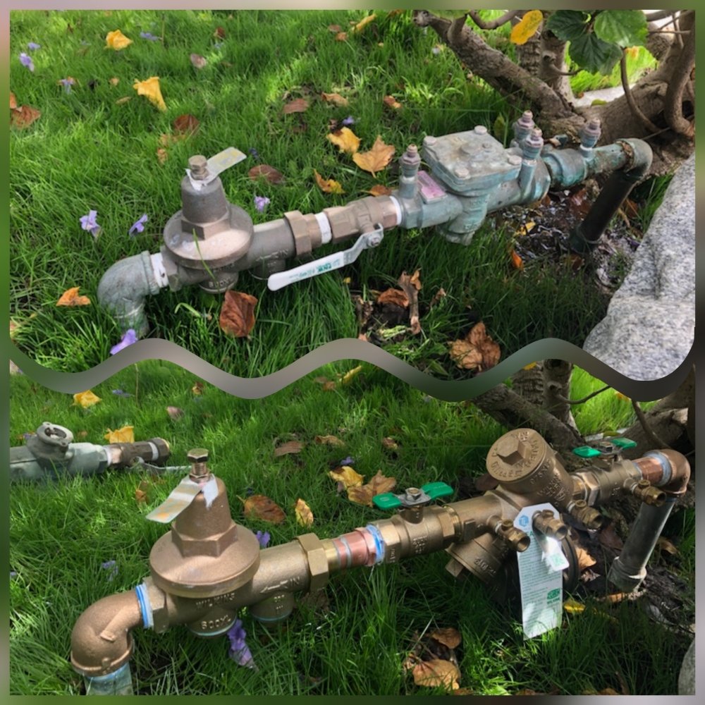 Courtesy Plumbing