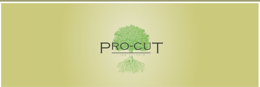Pro Cut Tree Services