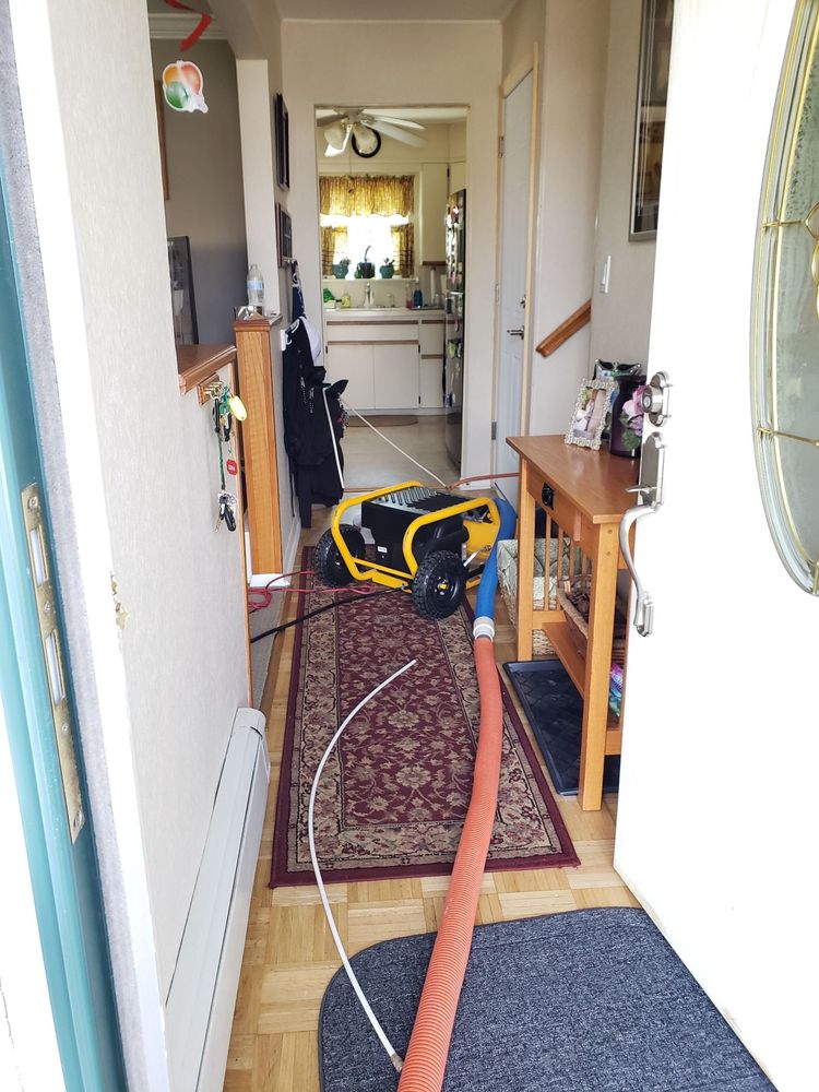 Neat And Professional Yelp Photo Of Sears Carpet Cleaning Air Duct Bwood Ny United States