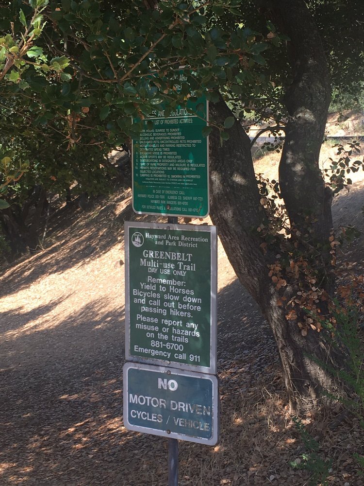 best dating redwood city hiking trails dogs allowed best dating redwood city hiking trails dogs allowed