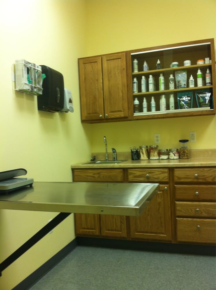 Affordable Vet Near Me o - Affordable Vet Near Me