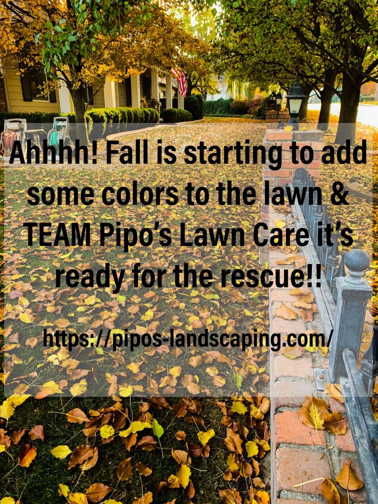 Pipo's Lawn Care