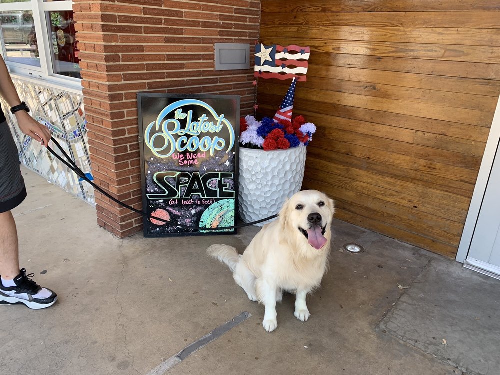 San Angelo To Go