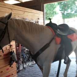 Majestic Riding Stables - CLOSED - Horseback Riding - 17825 Terra ... Majestic Riding Stables - CLOSED - Horseback Riding - 17825 Terra ...