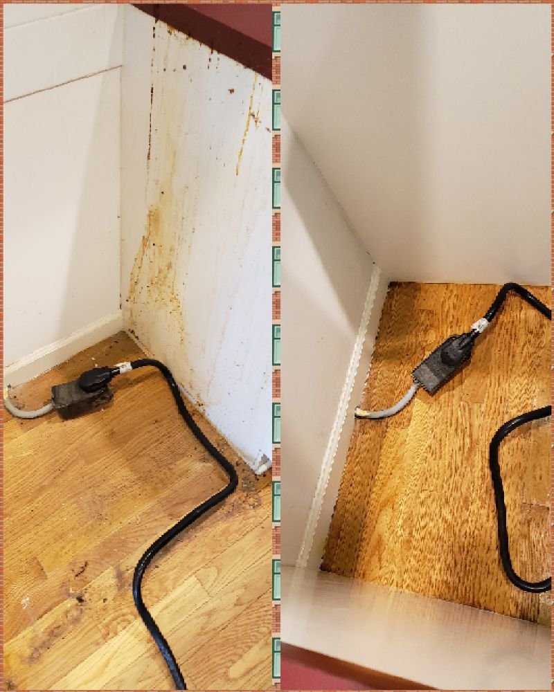 Clutter Cutters Cleaning