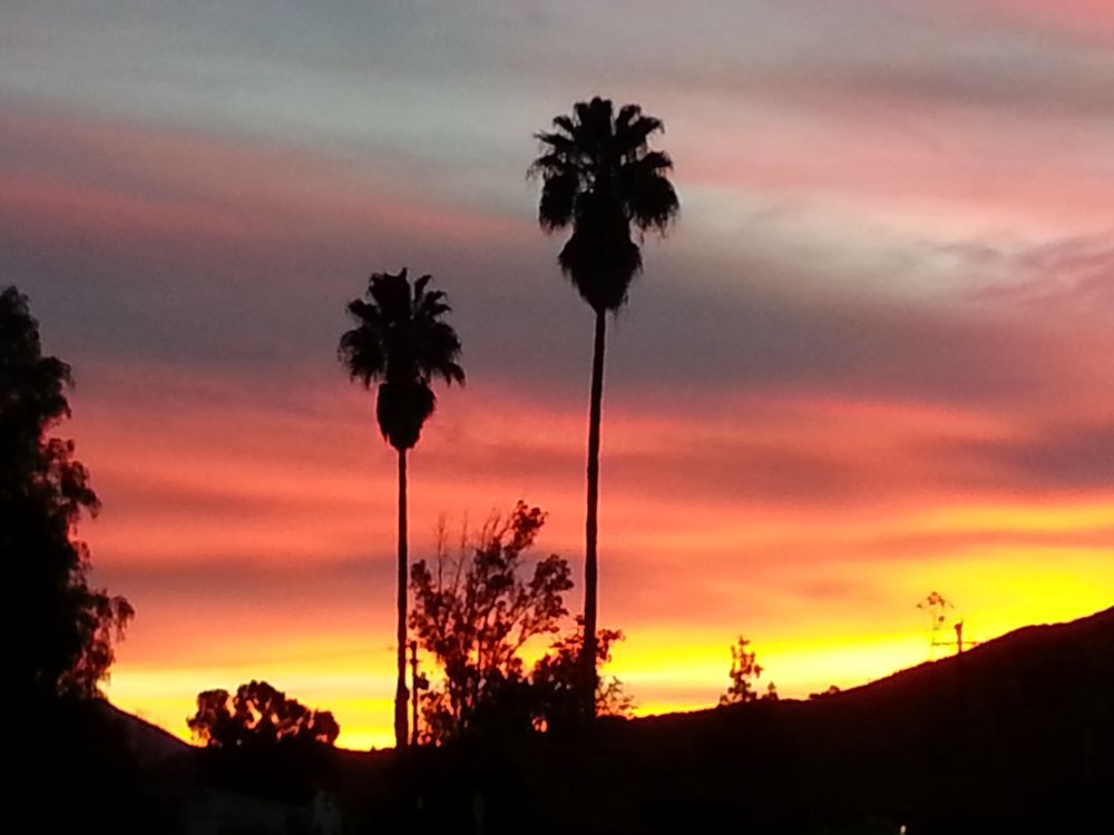 Ojai Self Storage