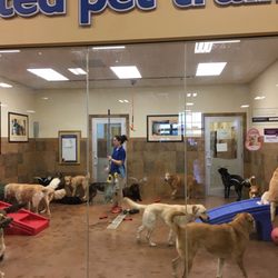 Petsmart With Pet Hotel Near Me Online