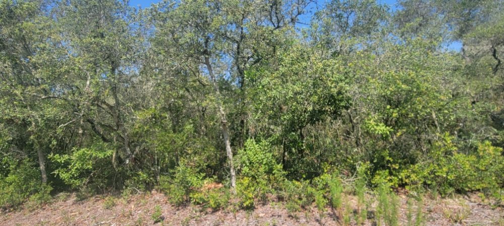 Acres to Lots Land Clearing