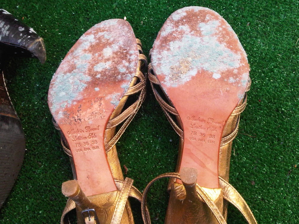 Why Does Mold Grow On Clothes In Closet Dandk Organizer