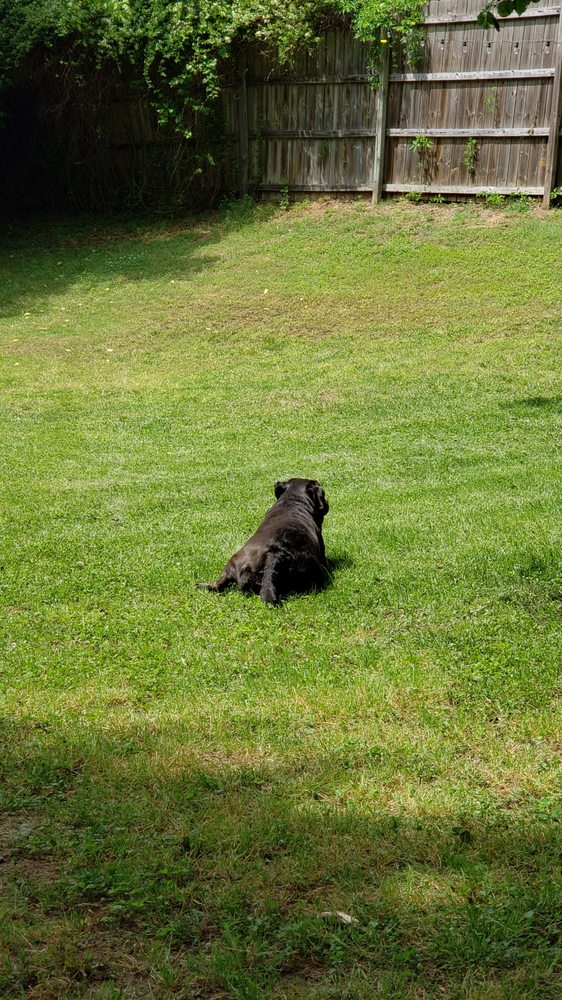 ClearDefense Pest Control