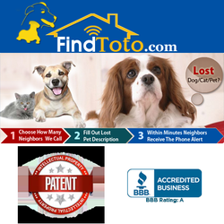 find toto pets 2420 sand creek rd brentwood ca phone number