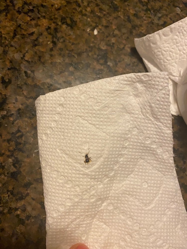 Stone Gables Property Management