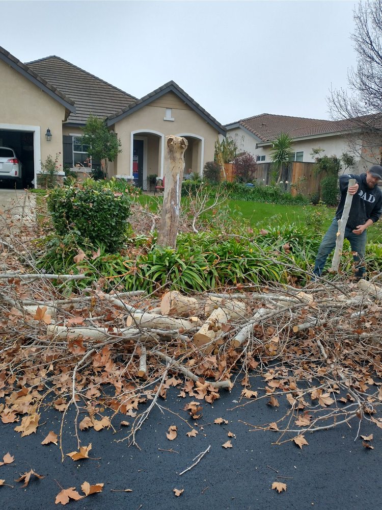 Pixleys Tree Service