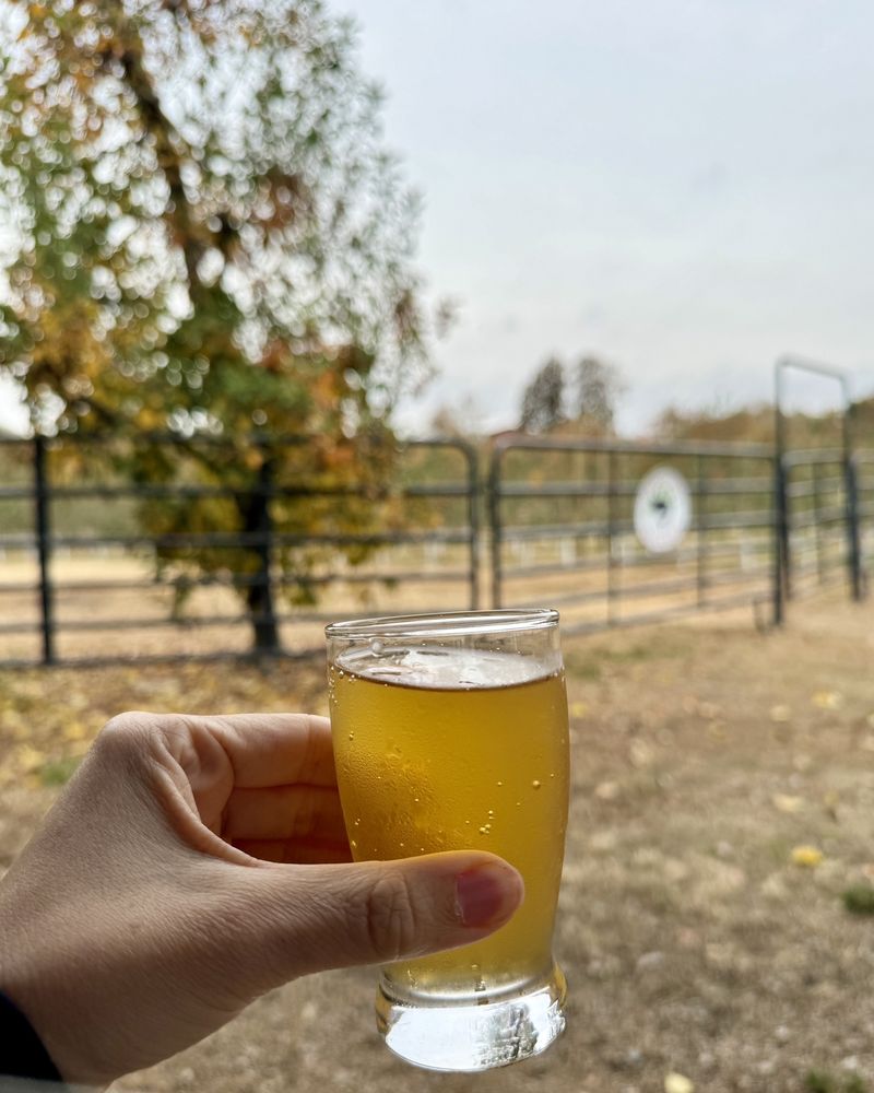 Windy Hill Orchard & Cidery