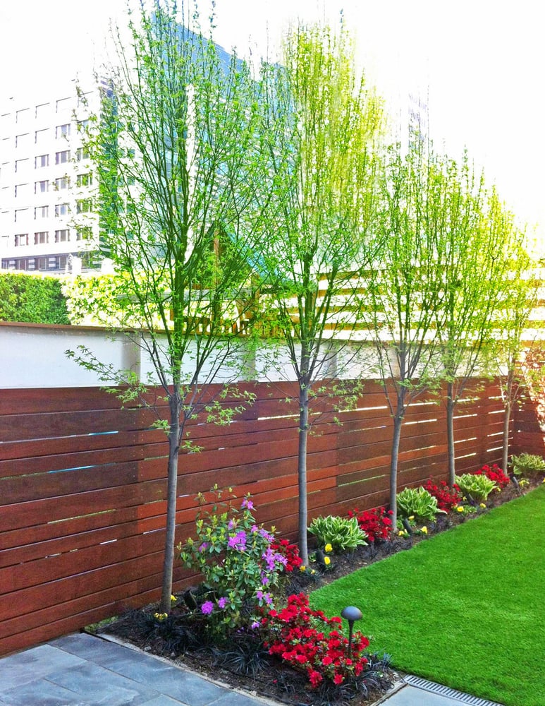 A Brooklyn Townhouse Backyard Garden Designed By Amber Freda Yelp Photo Of Amber Freda Landscape Design New York Ny United States A