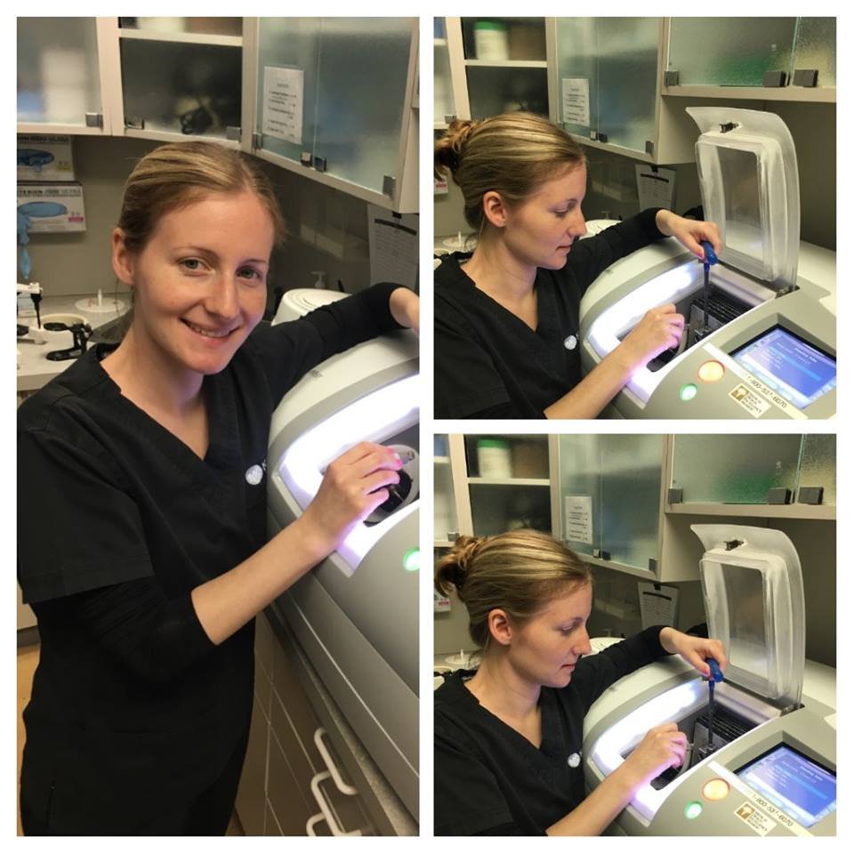 image of business Matthew Krieger, DMD