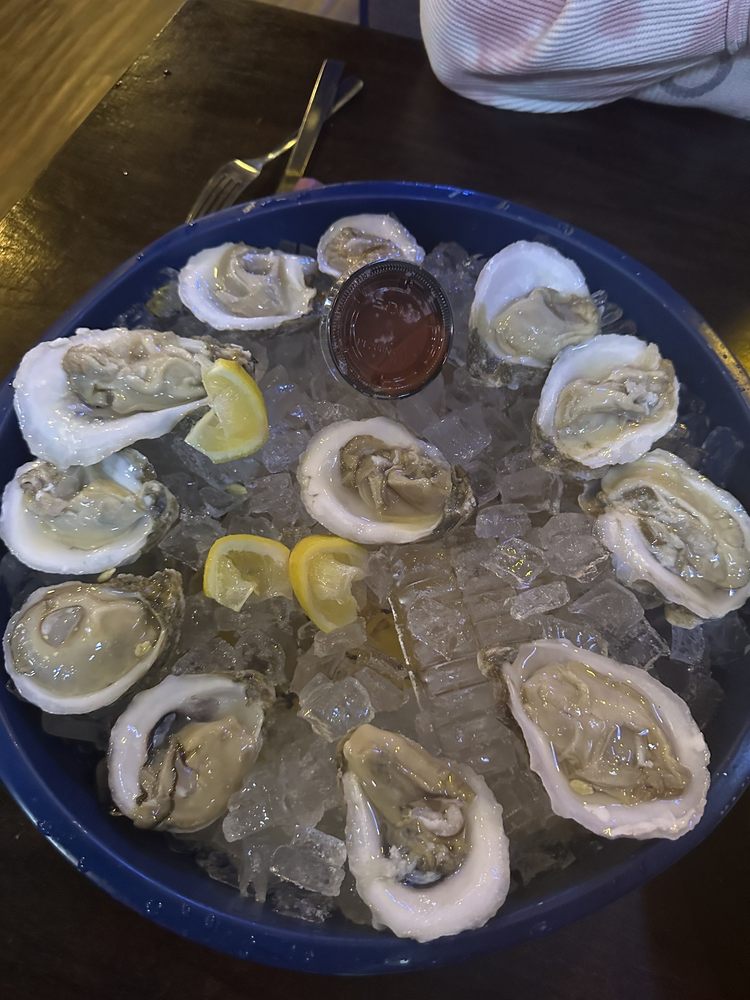 Mr Oyster Bar