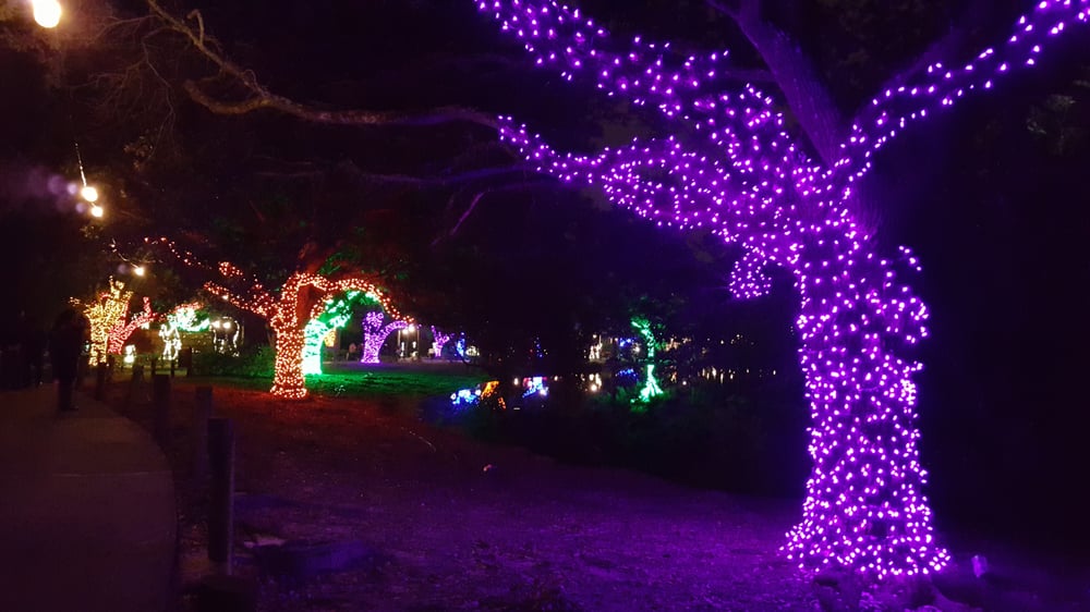 baton rouge zoo christmas lights mouthtoears com baton rouge zoo christmas lights mouthtoears com
