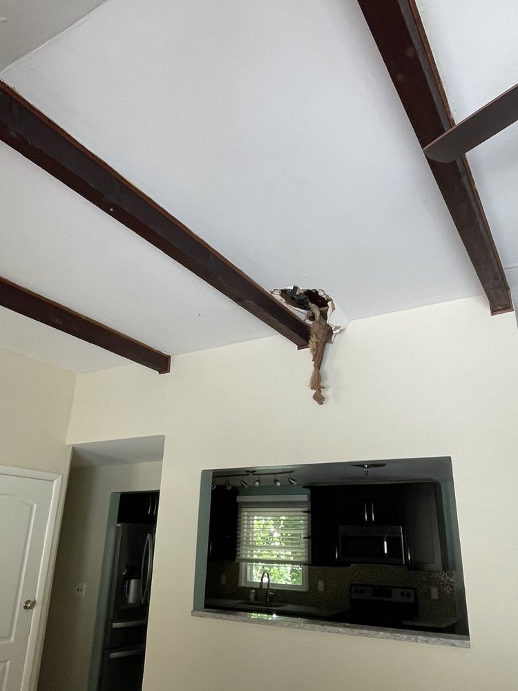 Austin renovation & remodeling