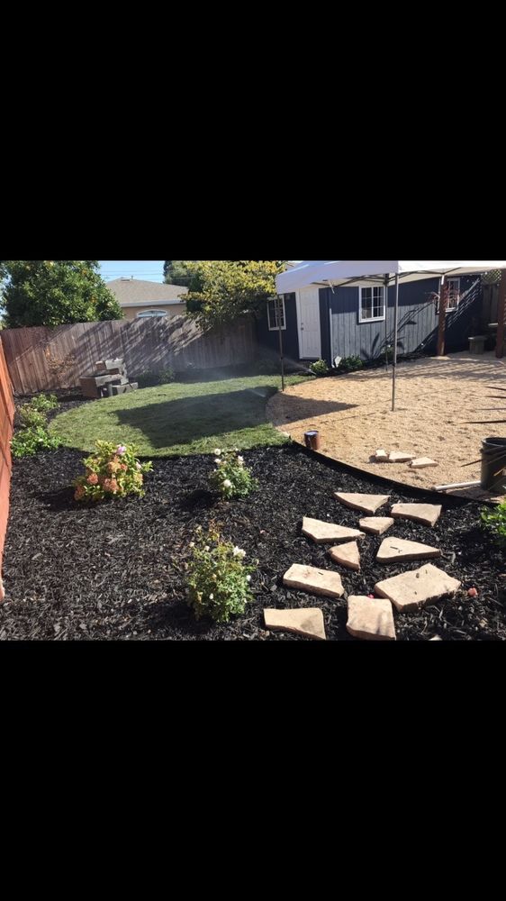 Fredy Martinez Landscaping Maintenance