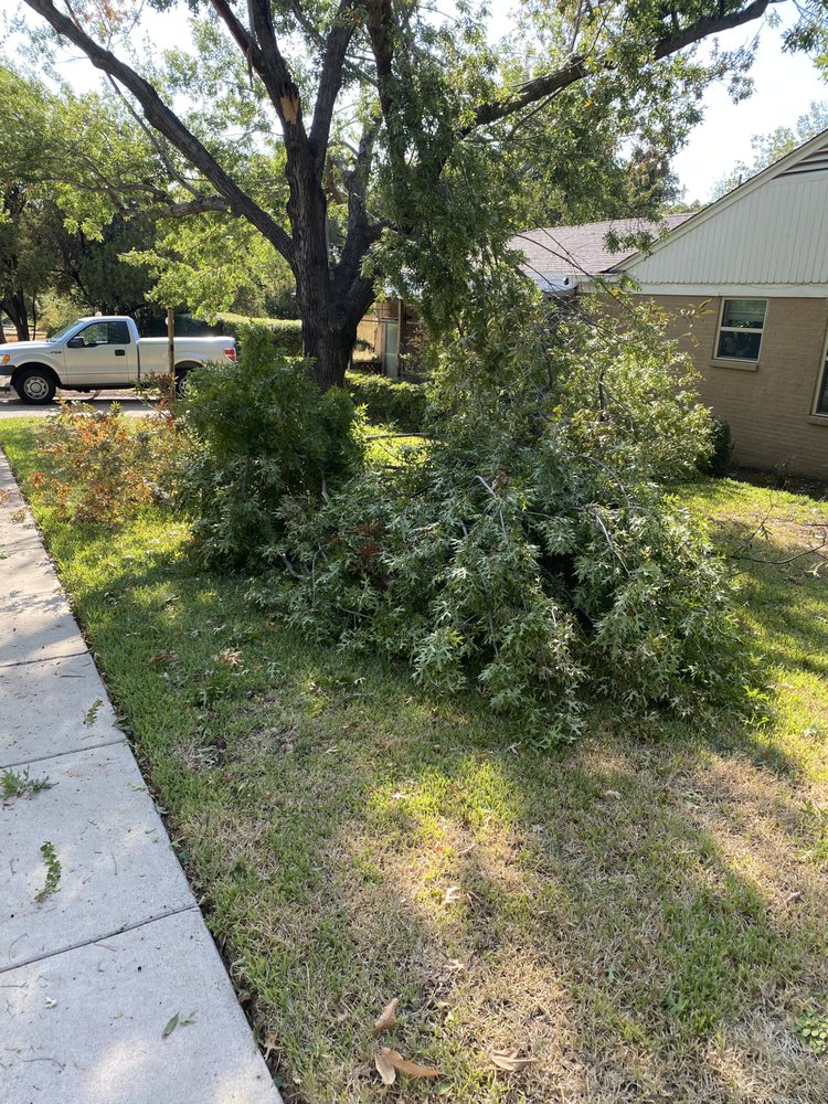 Best Choice Tree Care