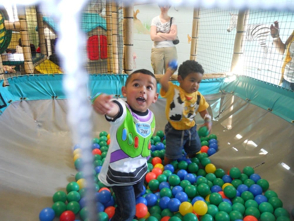 The Jungle Fun & Adventure CLOSED 25 Photos & 155 Reviews