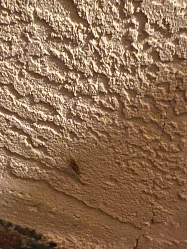 Econo Lodge San Angelo