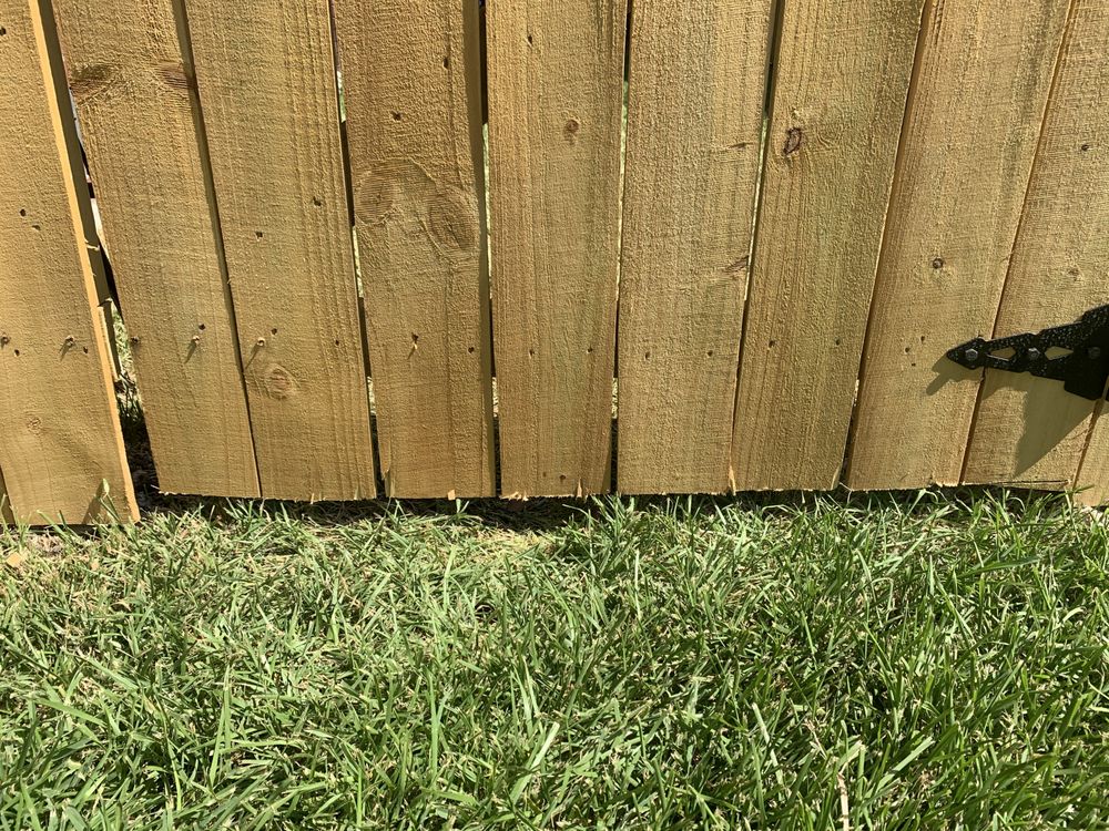 C and L Fence