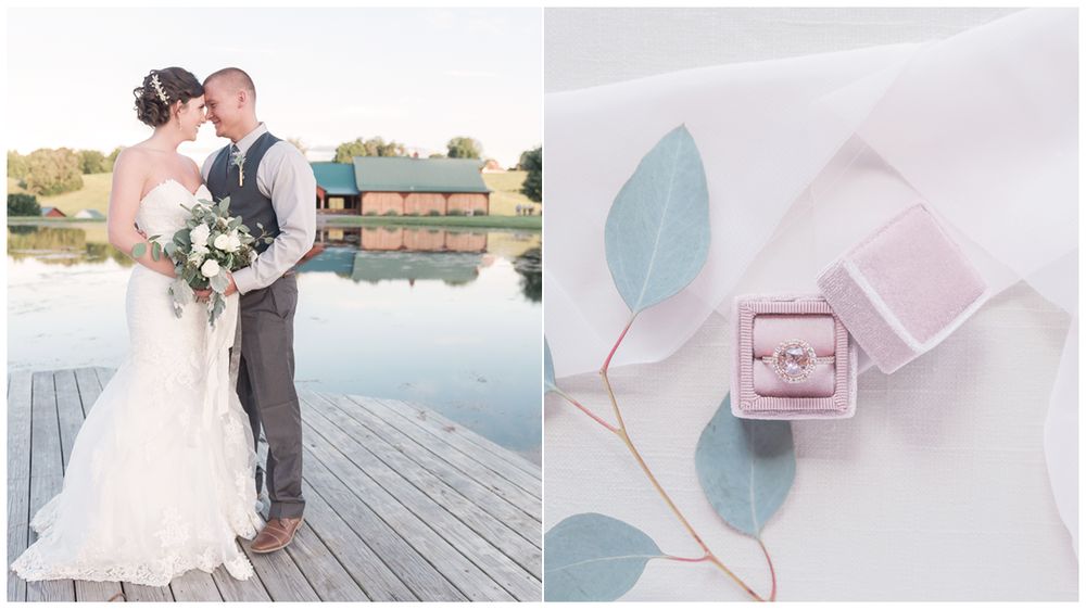 Daniele Elyse Photography