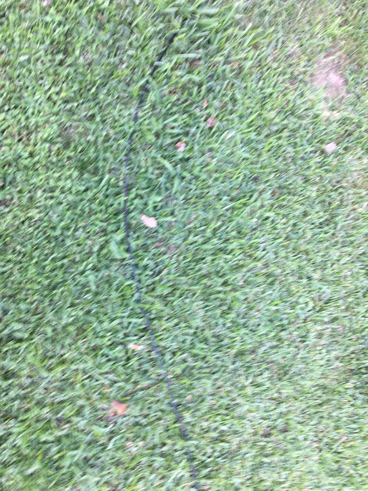 Verizon Fios Chesapeake