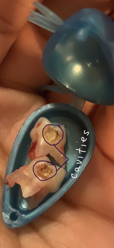 image of business Superior Family Dental