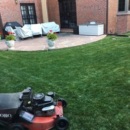 evergreen landscaping services landscaping 2935 w park pl