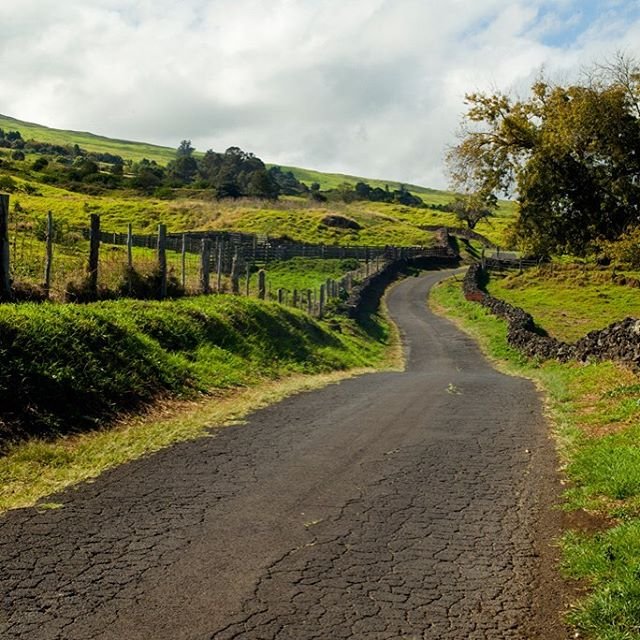 Thompson Road Hiking Thompson Rd, Kula, HI Yelp