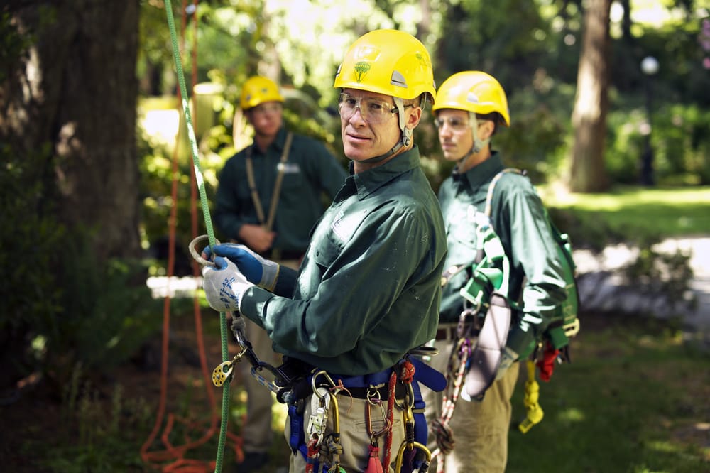 Bartlett Tree Experts