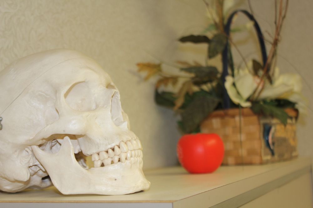 image of business Barataria Dental