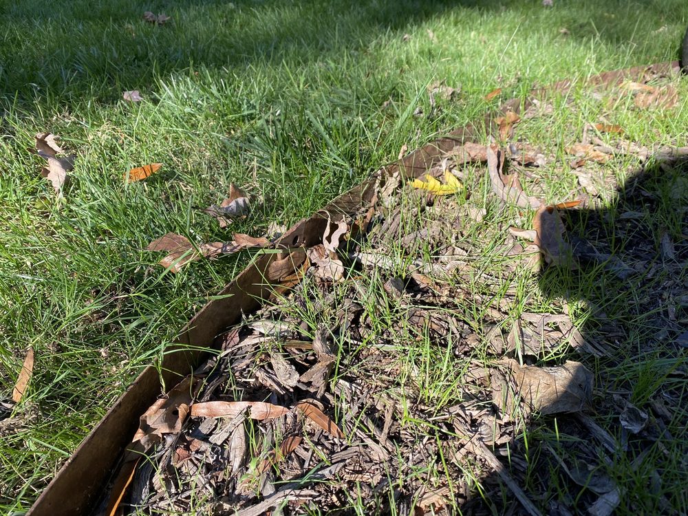 Top Turf Lawn Care and Pest Management