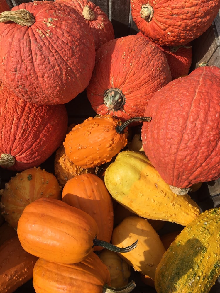 Fishkill Farms 153 Photos & 89 Reviews Farmers Market 9 Fishkill