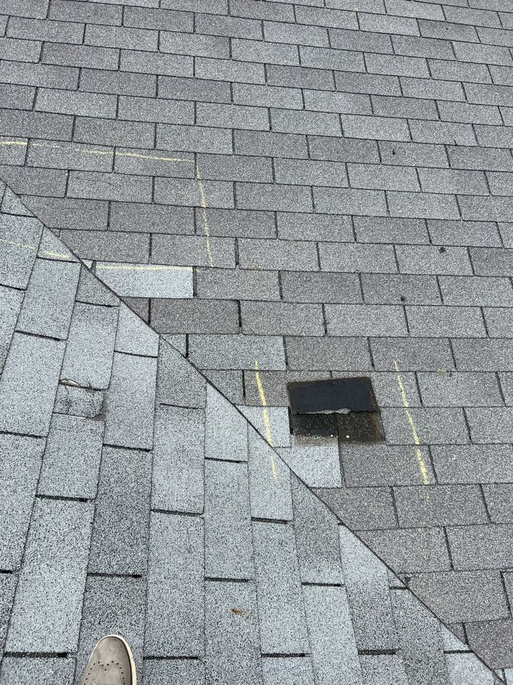 The Roof Brothers