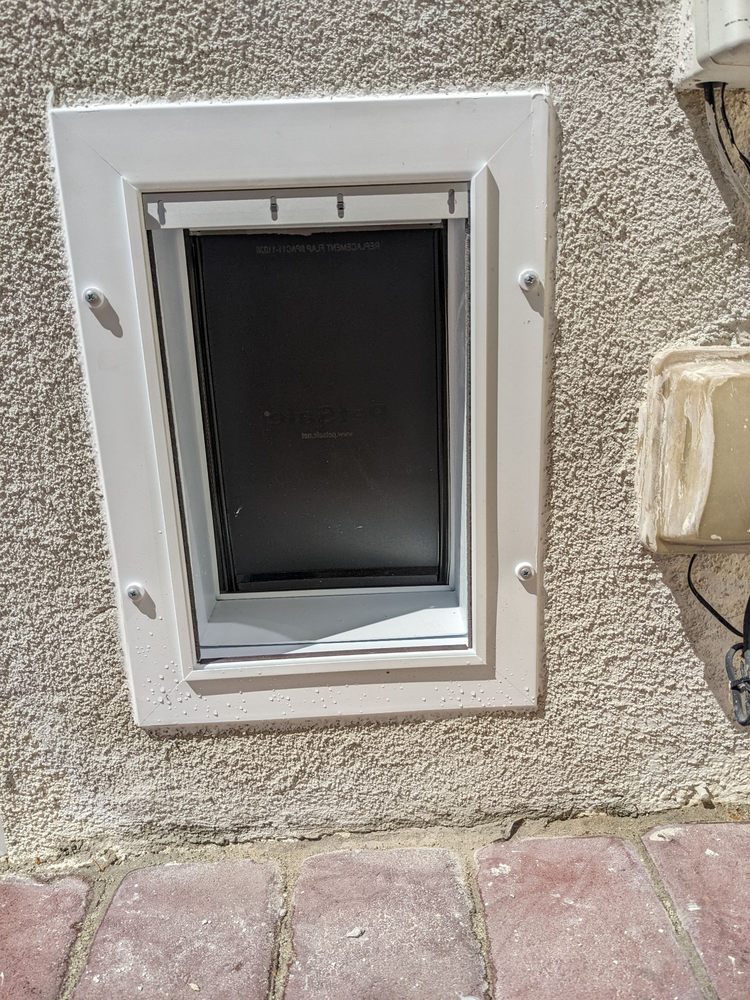 image of business Freddy