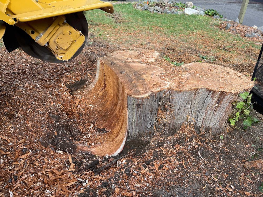 Pacific Coast Stump Grinding General Contractors
