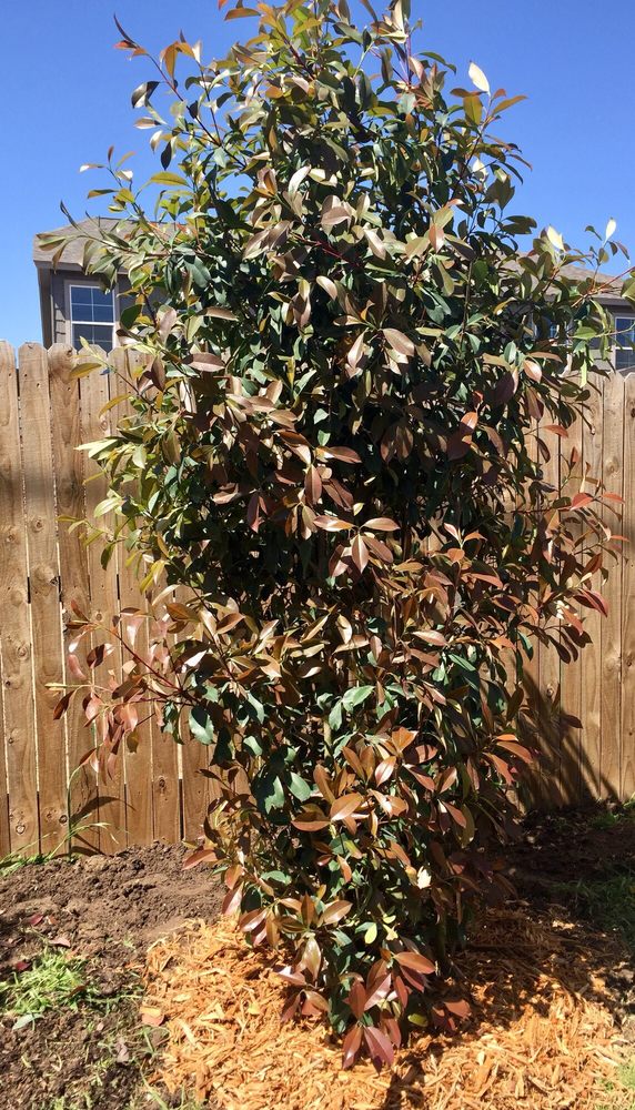 Riddle Plant Farm Nurseries &amp; Gardening 3510 Summit