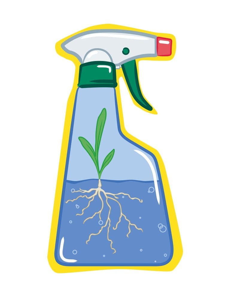 Green Scene Window Services