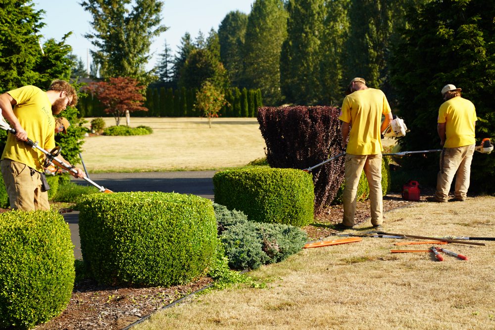 Augusta Lawn Care Services - Issaquah