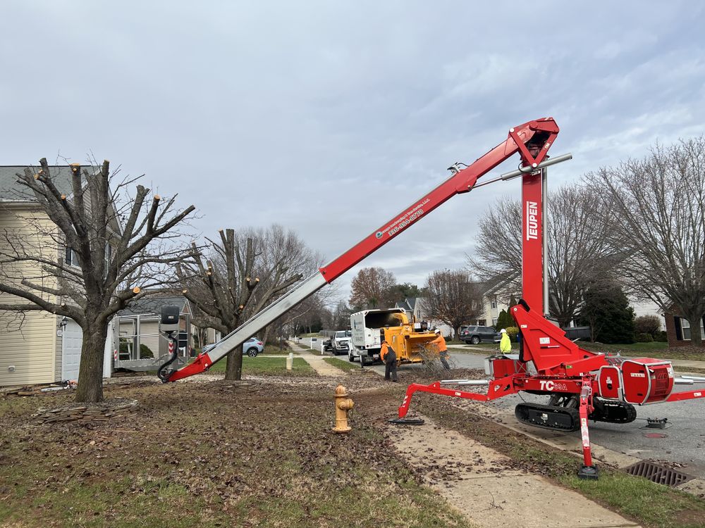 Ocampo Landscaping & Tree Service